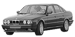 BMW E34 P1257 Fault Code